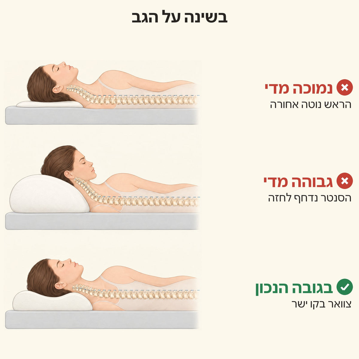 לתמוך בקימור הטבעי של הצוואר